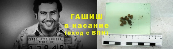 МДПВ Бородино