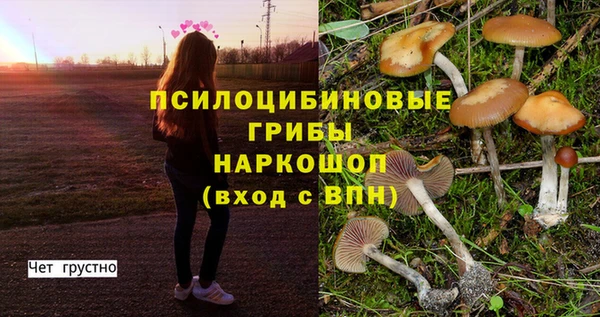 герыч Новочеркасск