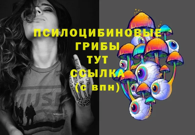 shop как зайти  Бокситогорск  Псилоцибиновые грибы MAGIC MUSHROOMS 