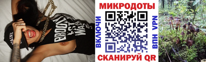 Псилоцибиновые грибы Psilocybine cubensis  Бокситогорск 